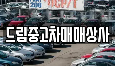경남 거제시 수월동 중고차매매 전문 드림중고차매매상사