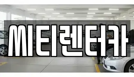경남 창원시 성산구 남지동 렌트카 전문 씨티렌터카
