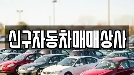 경남 창원시 성산구 남지동 중고차매매 전문 신구자동차매매상사