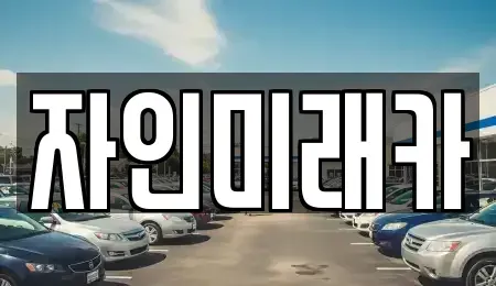 경북 경산시 자인면 중고차 전문 자인미래카