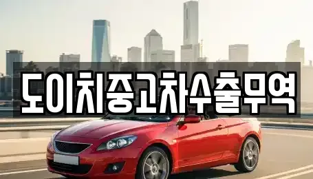 경상남도 거제시 일운면 중고차매매 전문 도이치중고차수출무역