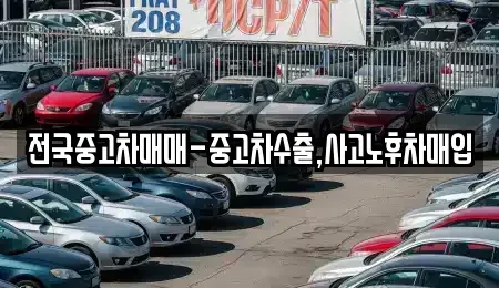 경상남도 거제시 일운면 단기렌트카,중고차매입,중고차매매,중고차,렌트카,장기렌트카