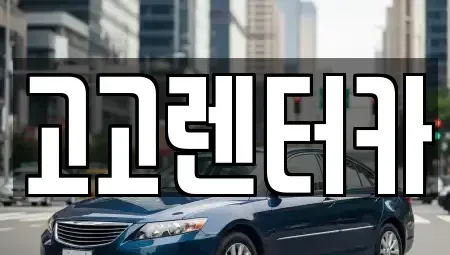 경상남도 창원시 마산합포구 수성동 렌트카 전문 고고렌터카