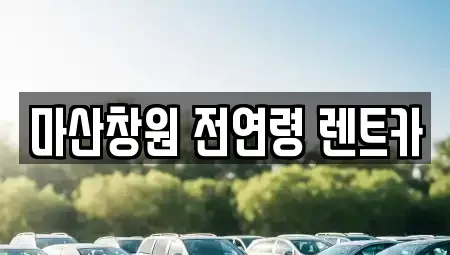 경상남도 창원시 마산합포구 수성동 렌트카 전문 마산창원 전연령 렌트카