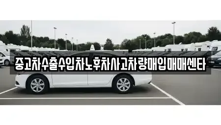 경상남도 창원시 마산합포구 수성동 중고차매입 전문 중고차수출수입차노후차사고차량매입매매센타