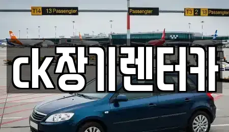경상북도 김천시 부곡동 렌트카 전문 ck장기렌터카