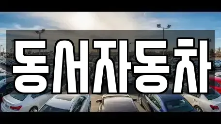 경상북도 상주시 낙양동 중고차 전문 동서자동차