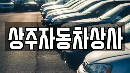 경상북도 상주시 낙양동 중고차 전문 상주자동차상사