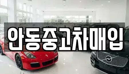 경상북도 안동시 와룡면 중고차매매,단기렌트카,중고차매입,장기렌트카,중고차,렌트카