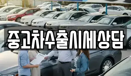경상북도 안동시 와룡면 중고차매매 전문 중고차수출시세상담