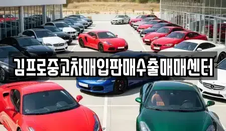 경상북도 안동시 와룡면 중고차매입 전문 김프로중고차매입판매수출매매센터