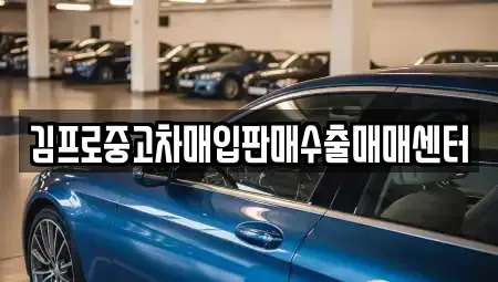 광주광역시 동구 수기동 중고차매입 전문 김프로중고차매입판매수출매매센터