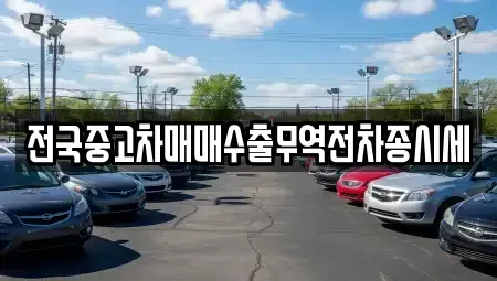 서울 서대문구 충정로3가 중고차 전문 전국중고차매매수출무역전차종시세