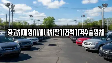 서울 서대문구 충정로3가 중고차매입 전문 중고차매입시세내차팔기견적가격수출업체
