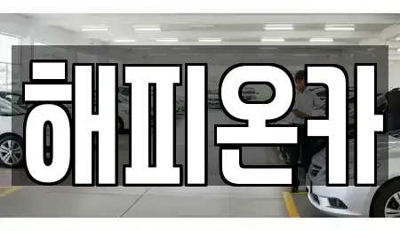서울특별시 도봉구 중고차 전문 해피온카