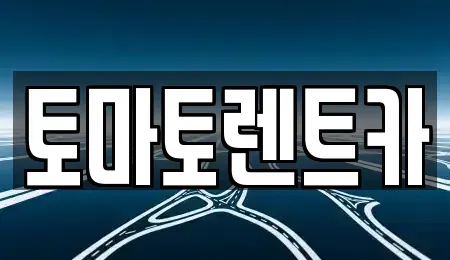 서울특별시 성동구 옥수동 렌트카 전문 토마토렌트카