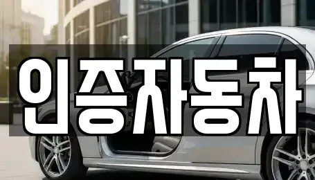 서울특별시 성동구 옥수동 중고차 전문 인증자동차