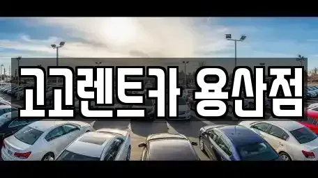 서울특별시 용산구 신계동 렌트카 전문 고고렌트카 용산점