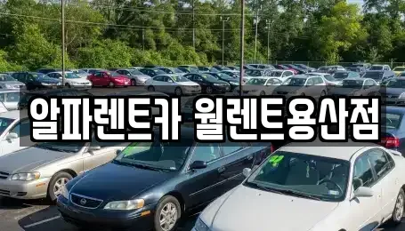 서울특별시 용산구 신계동 렌트카 전문 알파렌트카 월렌트용산점