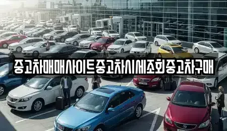 서울특별시 용산구 신계동 중고차 전문 중고차매매사이트중고차시세조회중고차구매