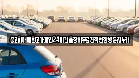 서울특별시 용산구 신계동 중고차 전문 중고차매매최고가매입24시간출장비무료견적현장방문지누카