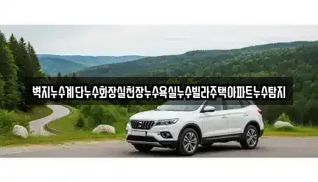 서울특별시 용산구 신계동 중고차매입 전문 벽지누수계단누수화장실천장누수욕실누수빌라주택아파트누수탐지