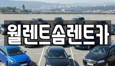 세종특별자치시 소정면 렌트카 전문 월렌트솜렌트카