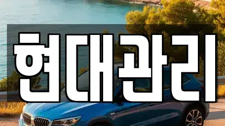 세종특별자치시 소정면 렌트카 전문 현대관리