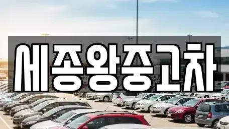 세종특별자치시 소정면 중고차매매 전문 세종왕중고차