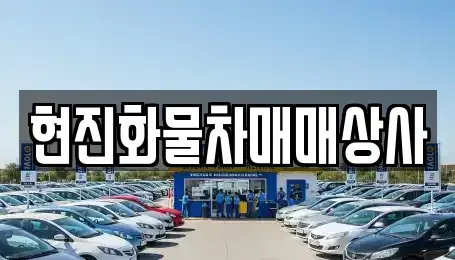 세종특별자치시 소정면 중고차매매 전문 현진화물차매매상사