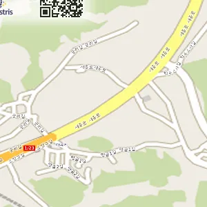 세종특별자치시 소정면 중고차매매 현진화물차매매상사 위치