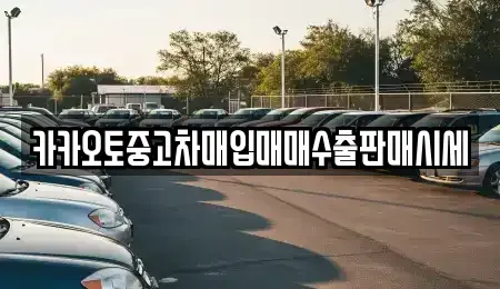 인천 계양구 용종동 중고차 전문 카카오토중고차매입매매수출판매시세