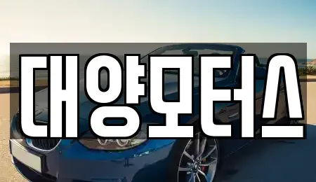 전라남도 강진군 마량면 중고차매매 전문 대양모터스