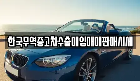 전북 전주시 완산구 동서학동 중고차 전문 한국무역중고차수출매입매매판매시세