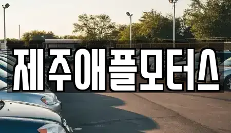 제주 제주시 도련일동 중고차매매 전문 제주애플모터스