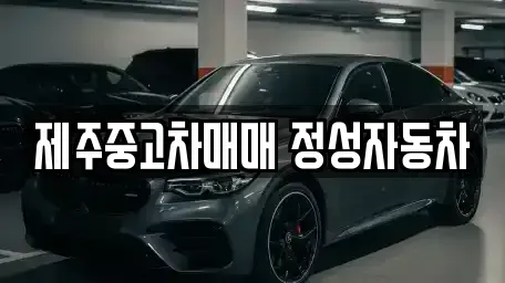 제주 제주시 도련일동 중고차매매 전문 제주중고차매매 정성자동차