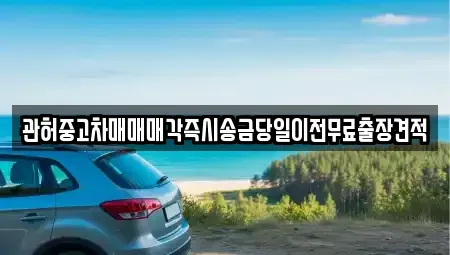 충남 당진시 원당동 중고차 전문 관허중고차매매매각즉시송금당일이전무료출장견적