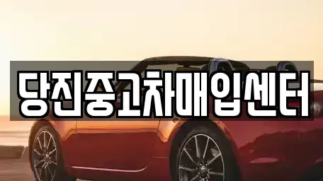 충남 당진시 원당동 중고차매입 전문 당진중고차매입센터