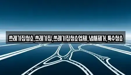 충남 당진시 원당동 중고차매입 전문 쓰레기집청소,쓰레기집,쓰레기집청소업체,냄새제거,특수청소