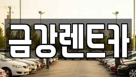 충남 서산시 성연면 렌트카 전문 금강렌트카