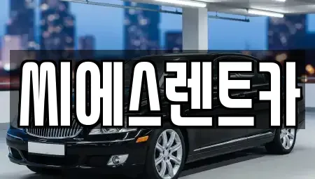 충남 서산시 성연면 렌트카 전문 씨에스렌트카