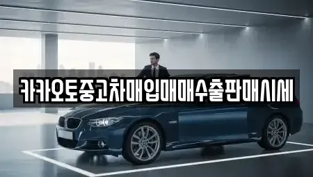 충청남도 서천군 비인면 중고차 전문 카카오토중고차매입매매수출판매시세